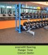 Everroll Gym Flooring - Tone