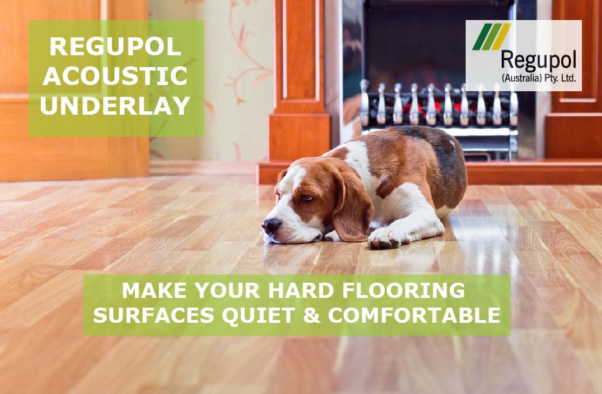 Regupol Acoustic Underlay Dog Sleeping on Floor